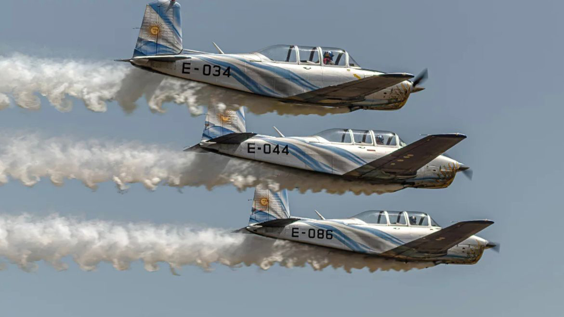 Defensores de nuestros cielos